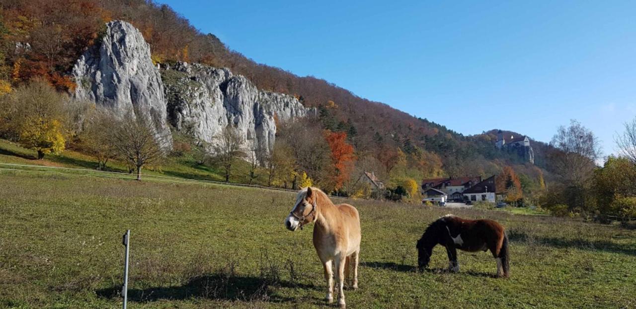 Fewo Lehner Riedenburg Εξωτερικό φωτογραφία