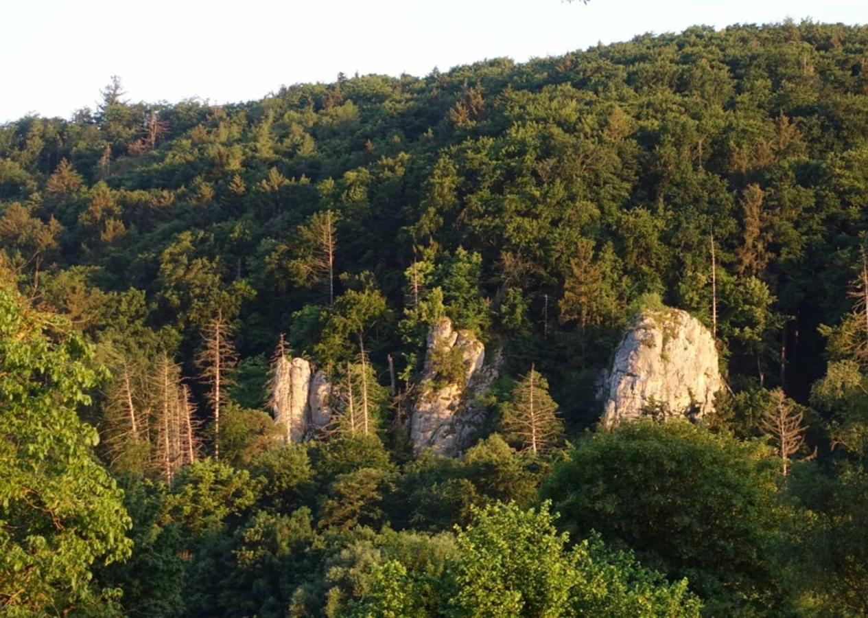 Fewo Lehner Riedenburg Εξωτερικό φωτογραφία